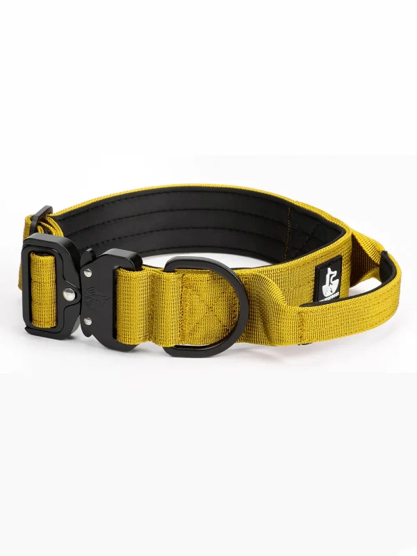 Collar BornWild Yellow Mustard