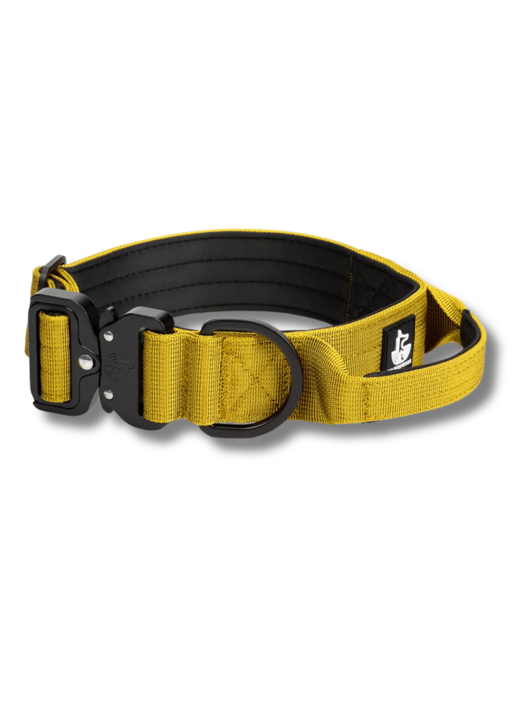 Collar-amarillo-para perros WTD