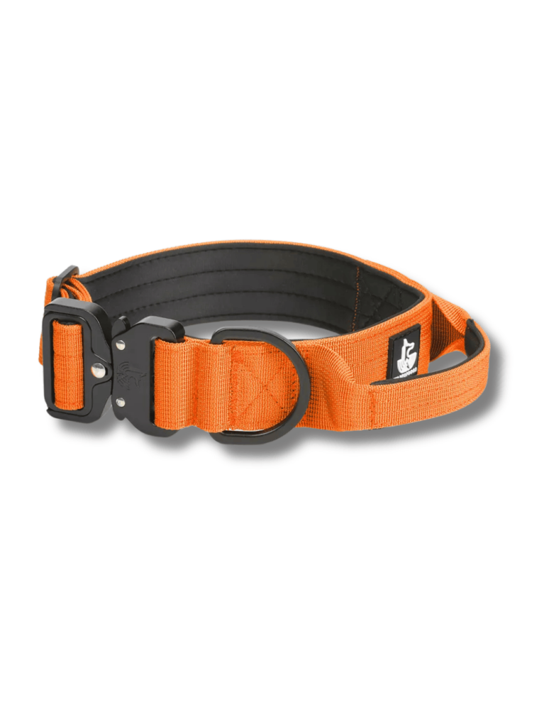 Collar-naranja para perros WTD