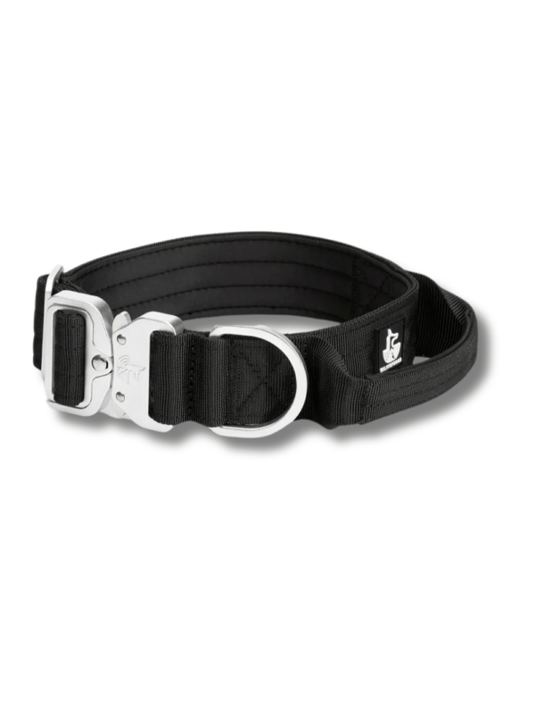 Collar BornWild Black Diamond