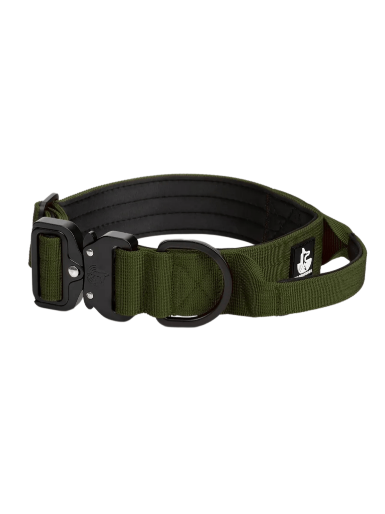 Collar-verde-oscuro para perros WTD