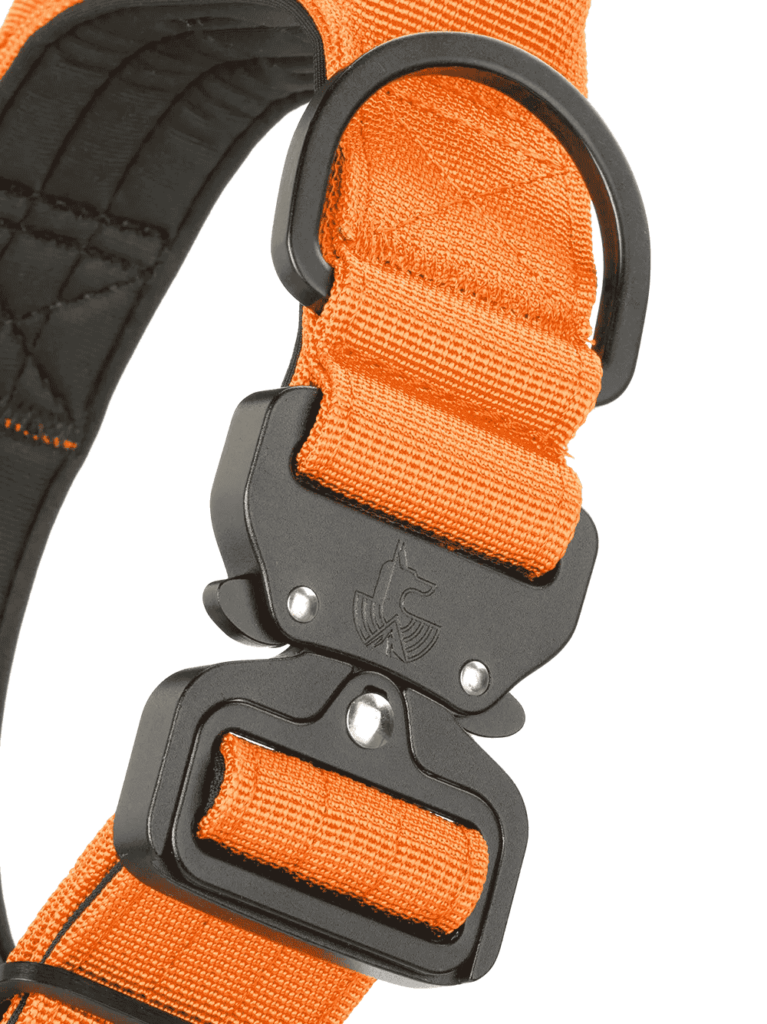 Detalle-collar-naranja para perros WTD