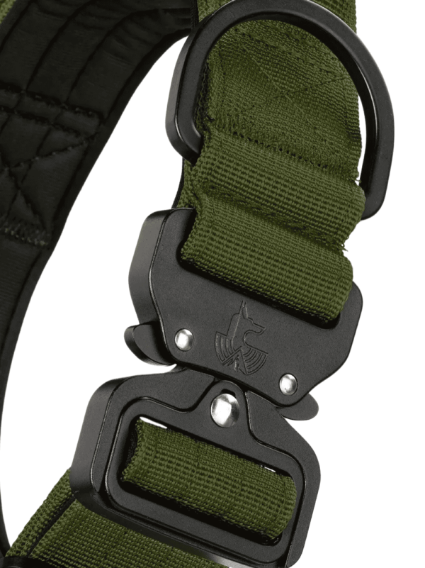 Collar BornWild Green Forest - Imagen 2