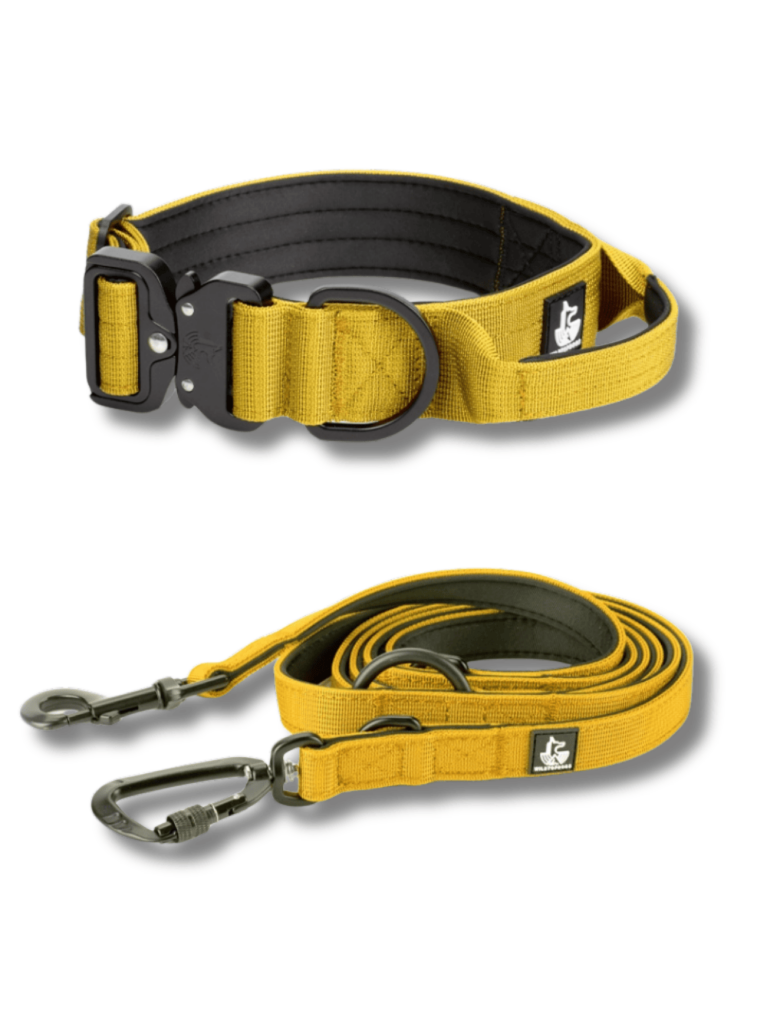 CONJUNTO-AMARILLO para perros wtd