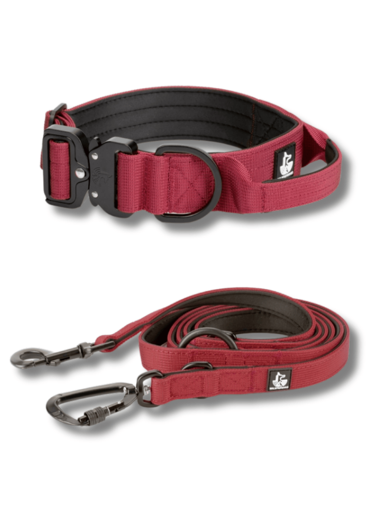 CONJUNTO-BURDEOS para perros wtd