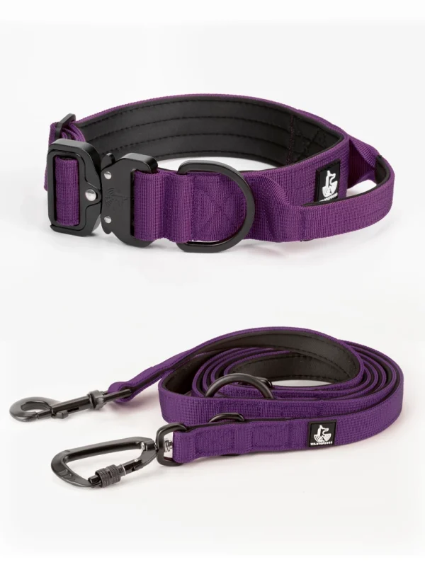 Conjunto Collar BornWild + Correa DualWild 2m Purple Amethyst