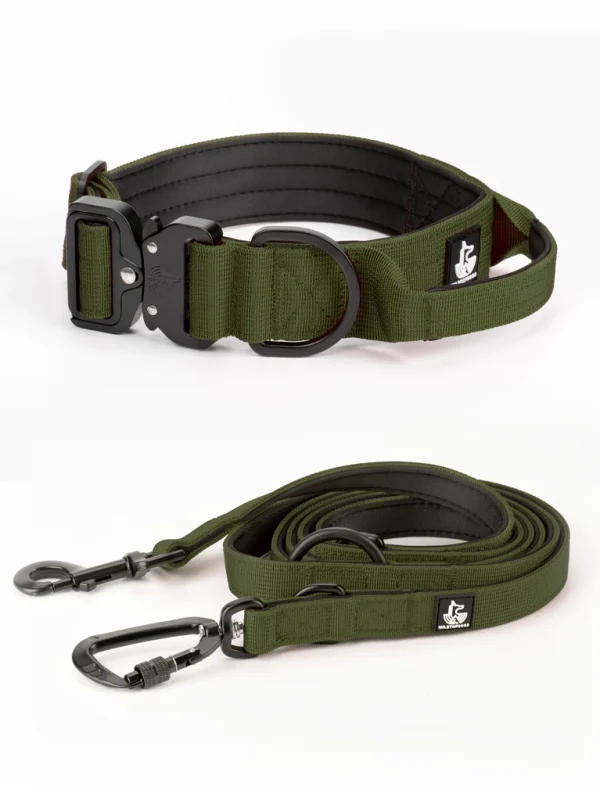 Conjunto Collar BornWild + Correa DualWild 2m Green Forest