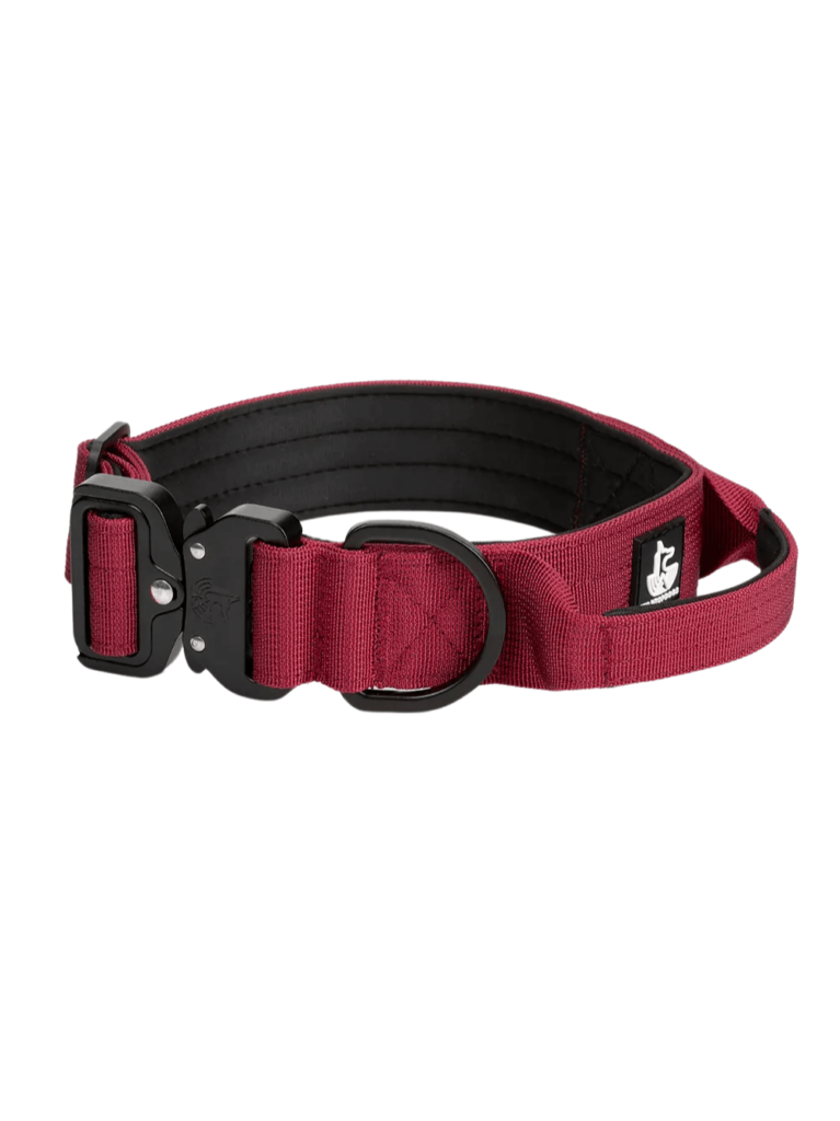 Collar-burdeos PARA PERROS WTD