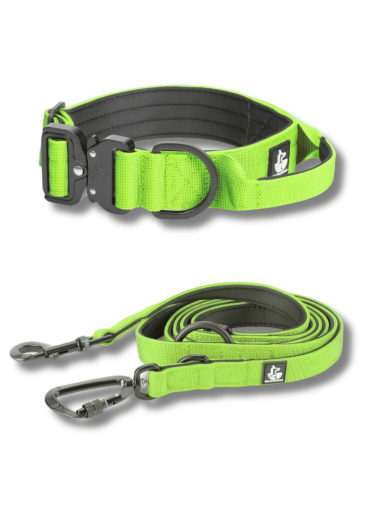 CONJUNTO-VERDE-NEON para perros wtd