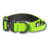 Collar-verde para perros WTD