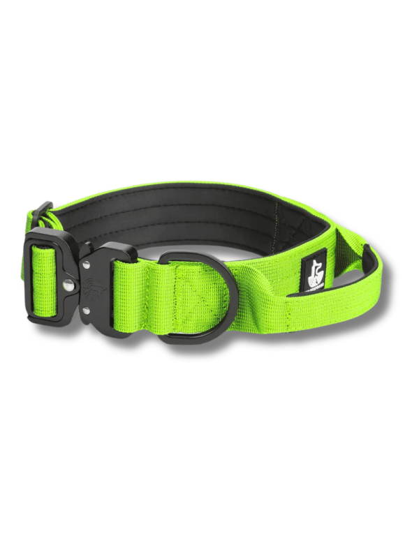 Collar-verde para perros WTD