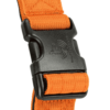 Arnes-Born-Wild-naranja detalle 2 para perros wtd