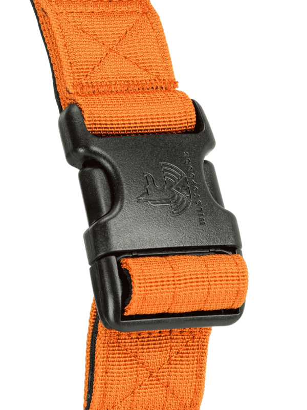 Arnes-Born-Wild-naranja detalle 2 para perros wtd