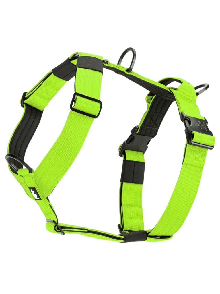 Arnes-Born-Wild-verde-neon para perros wtd