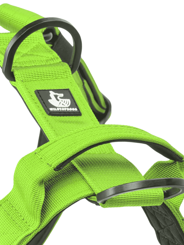 Arnes-Born-Wild-verde-neon-detalle-3 para perros wtd