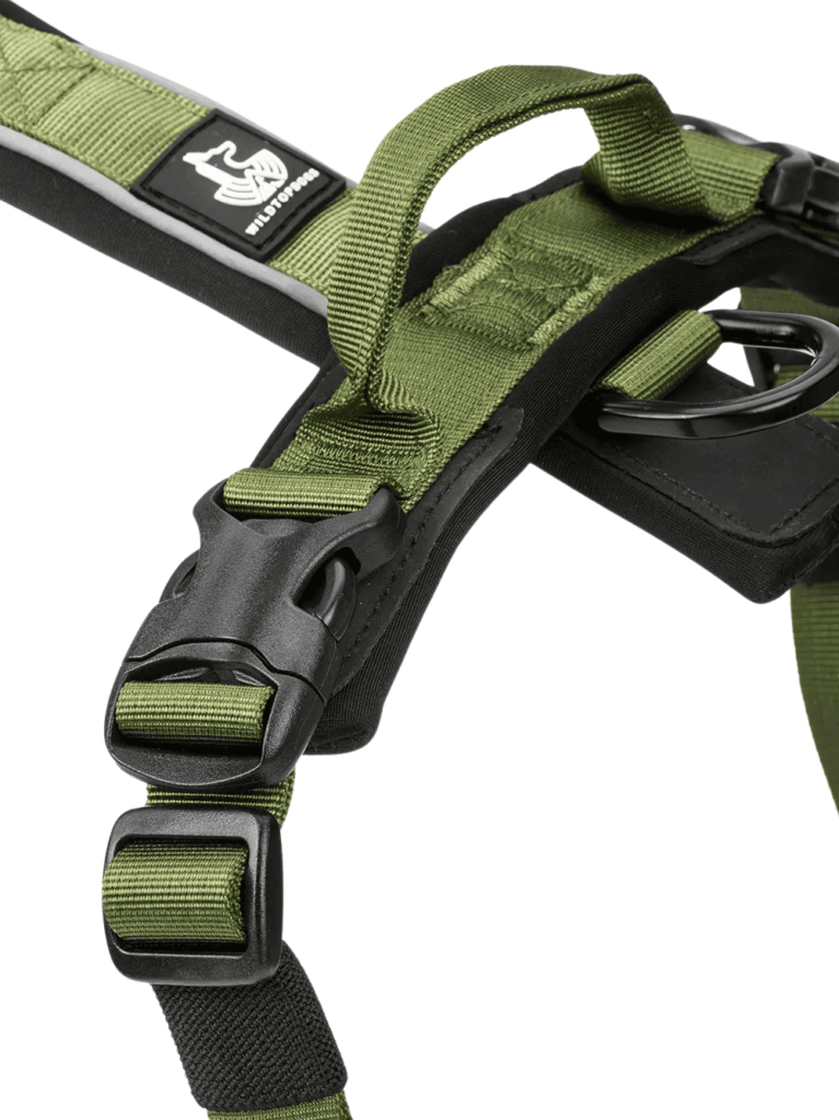 Arnes-LightWild-verde-detalle-2-para perros WTD