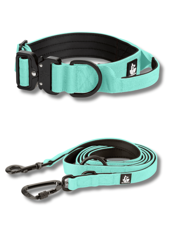 Conjunto  Collar BornWild + Correa DualWild 2m EverMint