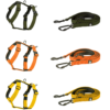 Conjunto Arnés BornWild + Correa 2m para perros WTD