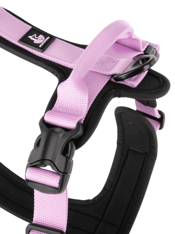 Arnés FreeWild 2.0 Purple Haze - Imagen 3
