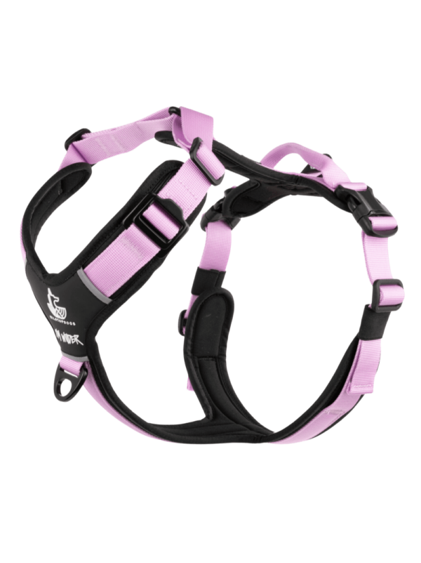 Arnés FreeWild 2.0 Purple Haze