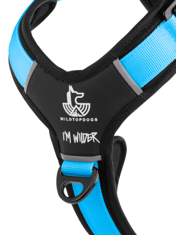Arnés FreeWild 2.0 Glacier Blue - Imagen 2