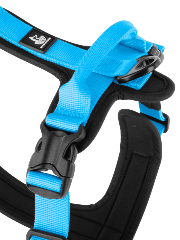 Arnés FreeWild 2.0 Glacier Blue - Imagen 3