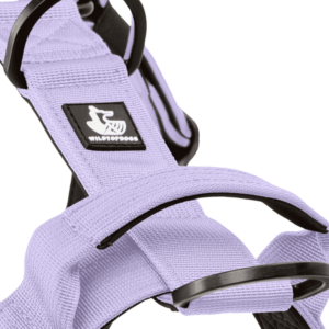 Arnes Mystic Lilac para perros wtd