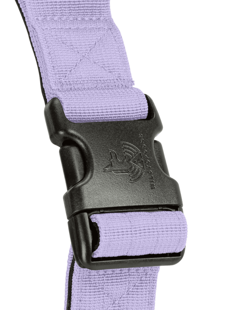 Collar Mystic Lilac para perros wtd