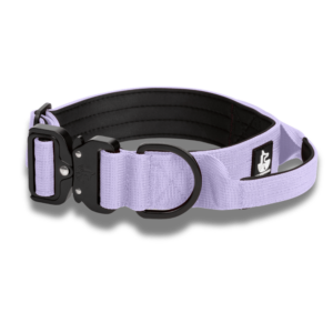 Collar BornWild Mystic Lilac