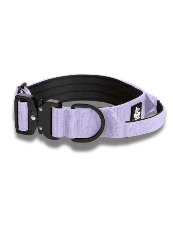 Collar BornWild Mystic Lilac