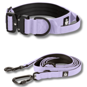 Conjunto Mystic Lilac para perros wtd