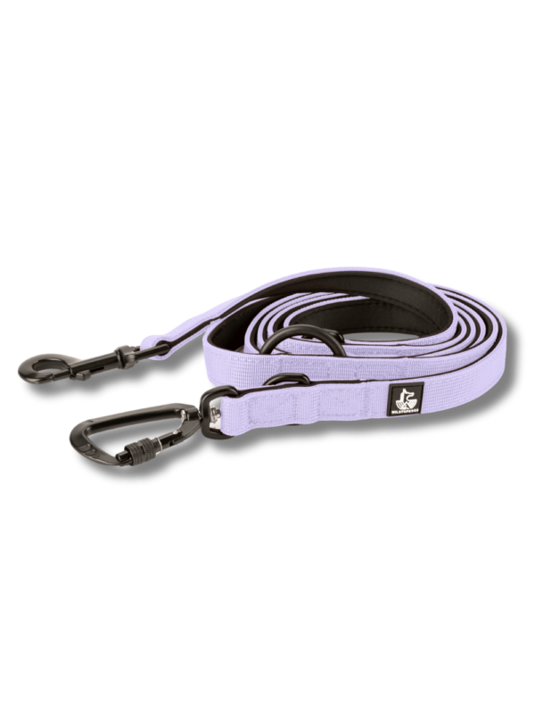 Conjunto  Collar BornWild + Correa DualWild 2m Mystic Lilac - Imagen 3