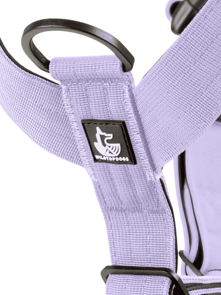 arnes Mystic Lilac para perros wtd
