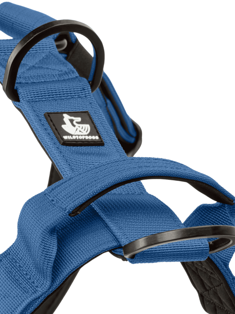 Blue Denim wtd para perros