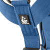 Blue Denim wtd para perros