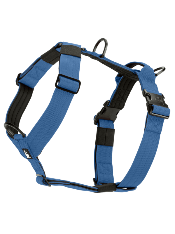 Blue Denim wtd para perros