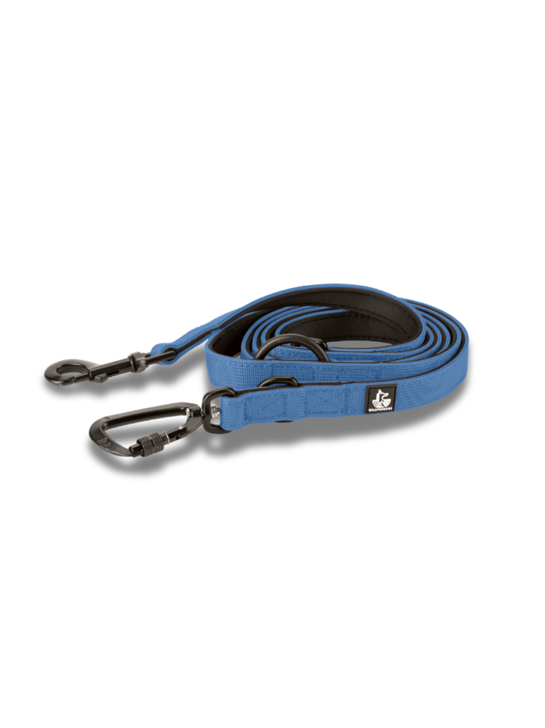 Blue Denim wtd para perros