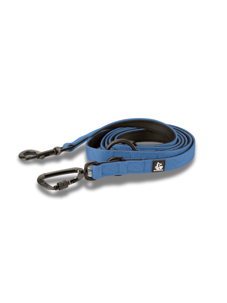 Blue Denim wtd para perros
