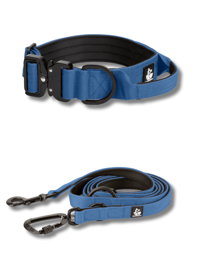 Blue Denim wtd